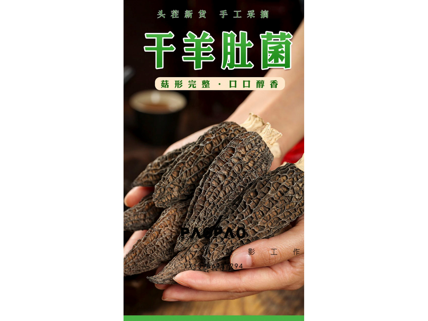 【学习强国】带您认识羊肚菌----云南省植物学会