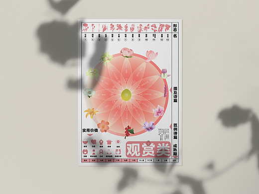 诗经植物信息可视化设计-Plants In The Book Of Songs