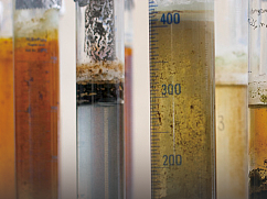 维诺格拉斯基板