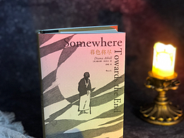 拍书：《暮色将尽》