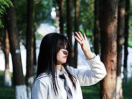 到秋天了，来一组森林图片