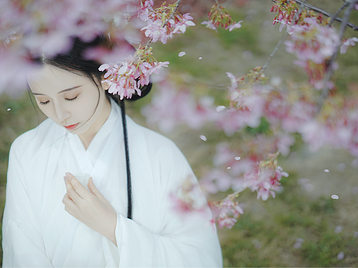 春日宴 魏晋樱花汉服写真