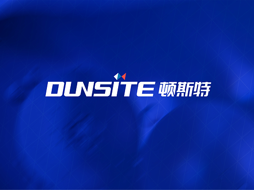 互联网 科技品牌 品牌全案设计