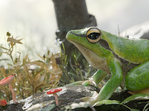 【蛙】大二数媒blender超写实渲染