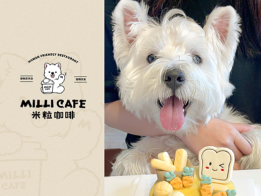 米粒斜杠狗狗的人类友好咖啡店 LOGO VI品牌设计