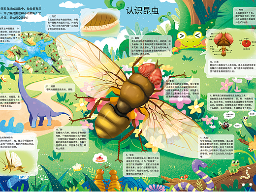 揭秘昆虫翻翻书