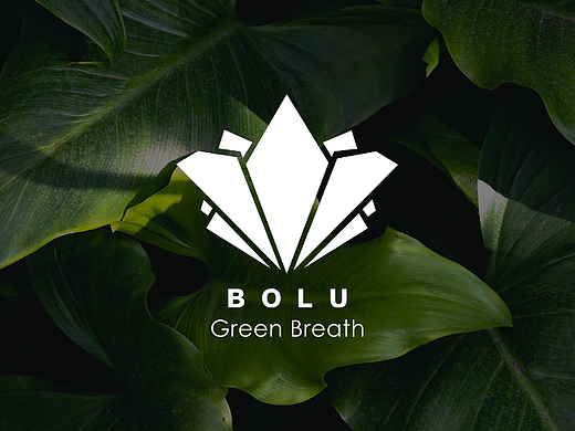 【BOLU】绿植品牌VI-Green plant design