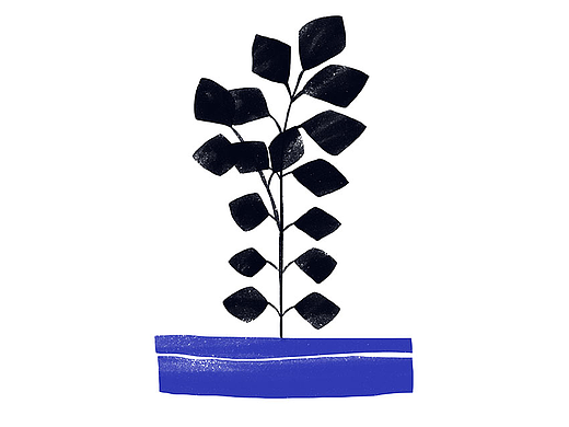 【Illustration】植物
