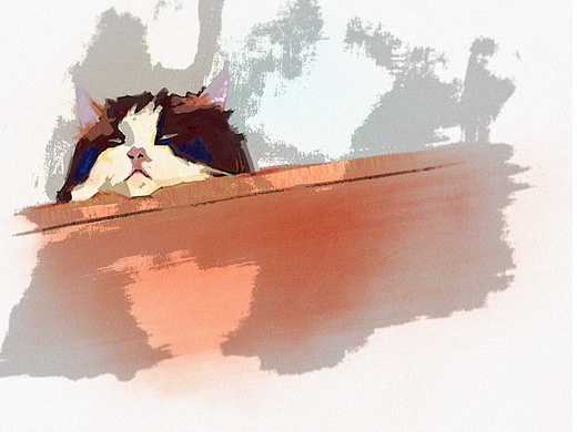 猫猫头
