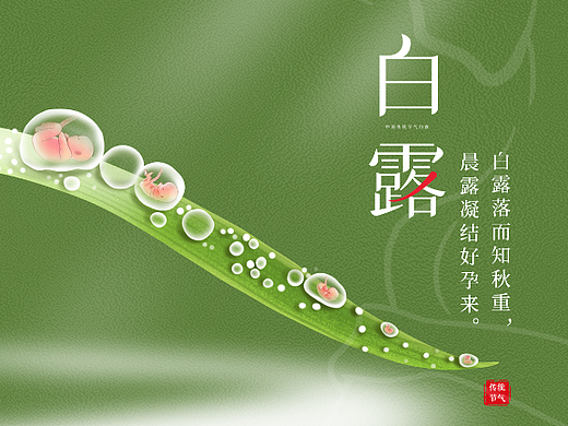 橄榄树生命试管婴儿海报——白露节气海报