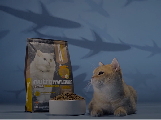 猫粮宠物美食粮电商广告拍摄