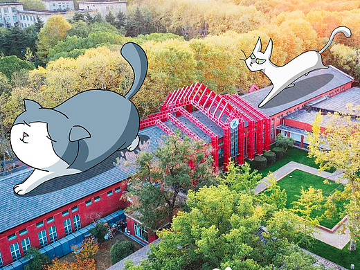 《进击的喵星人》校园文创作品