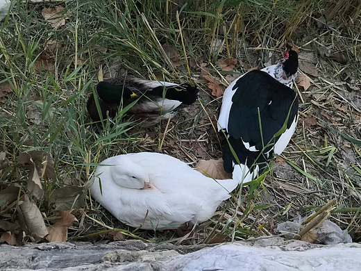 #我在站酷用摄影为祖国母亲庆生#