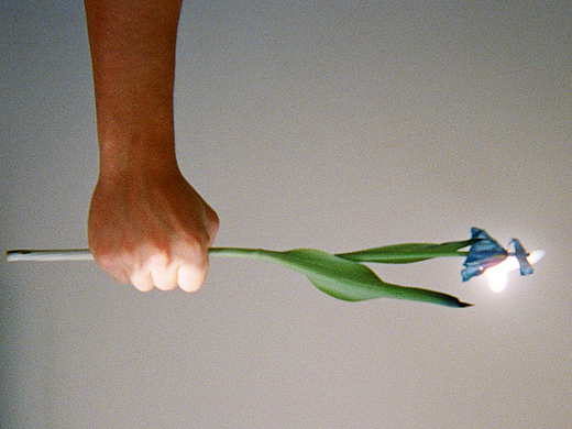 生活碎片｜一次性胶片机记录的日常