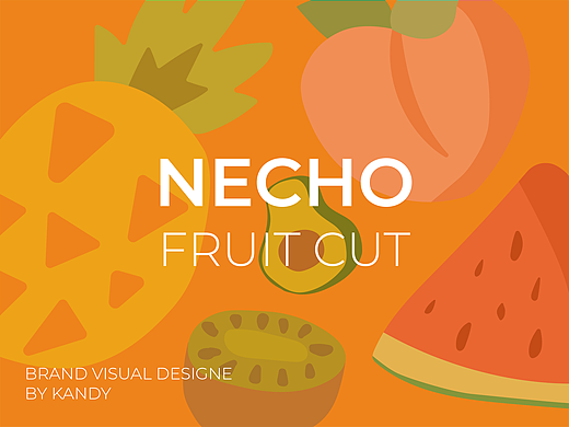 NECHO果切 | 品牌设计（个人主页-ZNjA5OTI4NTI=） - 品牌 - 站酷设计师電氣硬糖原创素材 - 站酷ZCOOL