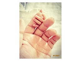 “准妈妈”升级记#2017年9月17日……