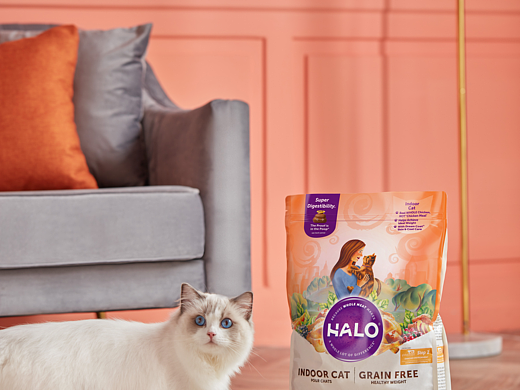 派菲宠物猫粮拍摄