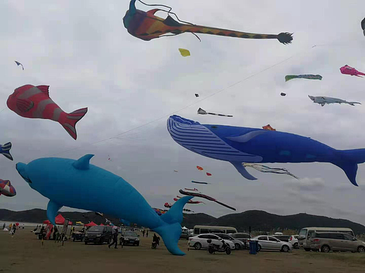 春节活动方案 巨型风筝展