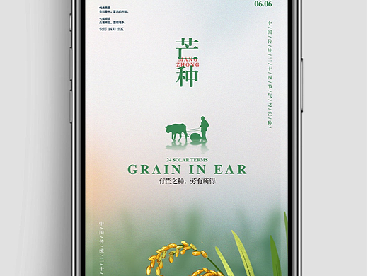 芒种海报