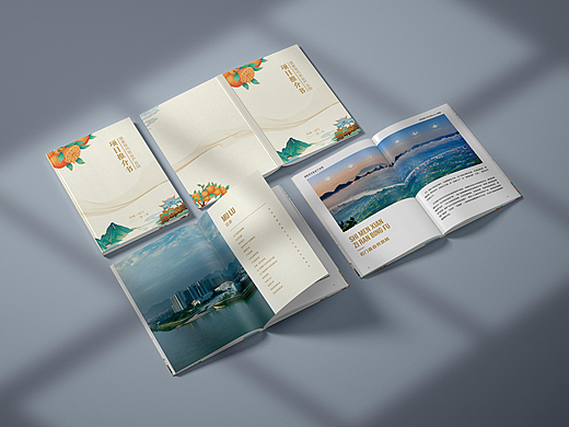 Project Proposal—项目推介书