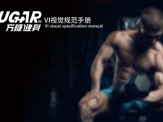 方糖健身vi手册