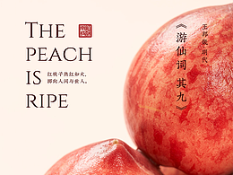 摄影
