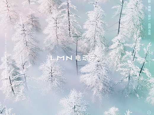 德国LMN电动牙刷|声波电动牙刷|冲牙器|3D动画