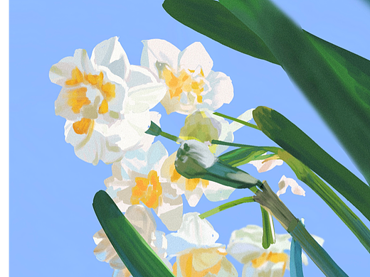 【百图挑战】D a y 14