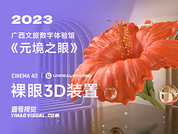 广西文旅《元境之眼》丨裸眼3D视频制作