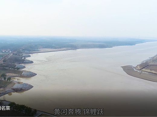喜悦酒店招牌名菜黄河大鲤鱼宣传片