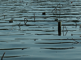 FUJIFILM相機(jī)直出