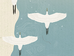 二十四節(jié)氣-白露