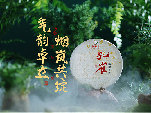 秋| 普洱茶广告影片｜班章孔雀