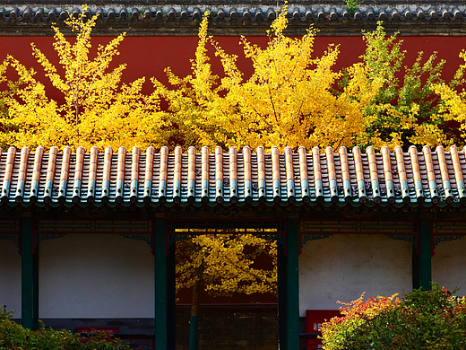 沈陽故宮·金秋（個(gè)人主頁-ZNjI1NzY2NzY=） - 環(huán)境/建筑攝影 - 站酷設(shè)計(jì)師盛京文化原創(chuàng)素材 - 站酷ZCOOL