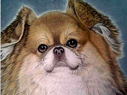 房继中国画作品