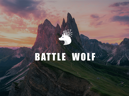 戰(zhàn)斗狼logo（個(gè)人主頁(yè)-ZNjA2NzY2NDQ=） - Logo - 站酷設(shè)計(jì)師李李Lili1原創(chuàng)素材 - 站酷ZCOOL