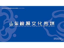 山东棕狮文化传媒