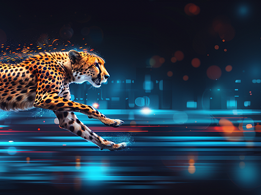 蓝带啤酒：将军风范与微醺之境的完美融合