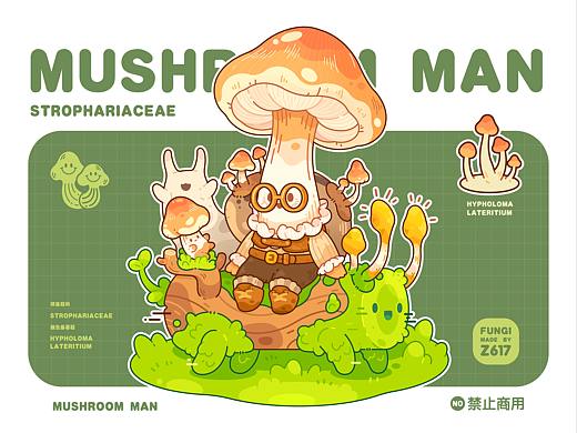 Mushroom球盖菇菌