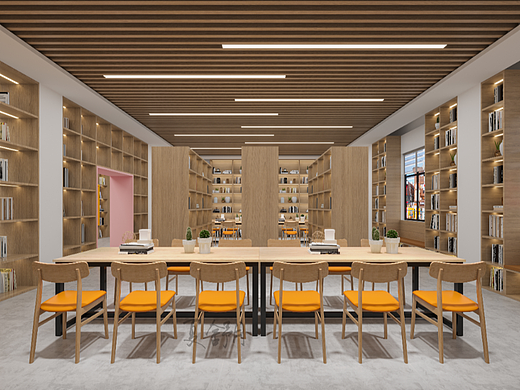 图书馆|书中自有颜如玉