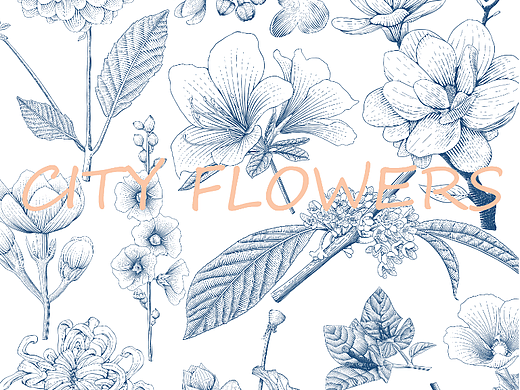 原创插画|版画|包装设计|city flowers|花朵