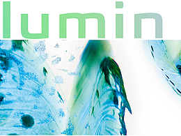 蝴蝶之翼——长安Lumin车贴设计大赛