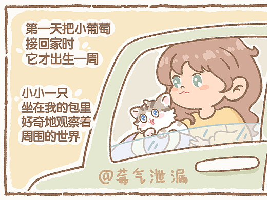 狠狠愛它吧，不用控制（個人主頁-ZNjU1MDkzMjg=） - 商業(yè)插畫 - 站酷設計師莓氣泄漏124原創(chuàng)素材 - 站酷ZCOOL