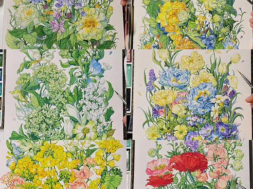 水彩花卉插画（带过程）