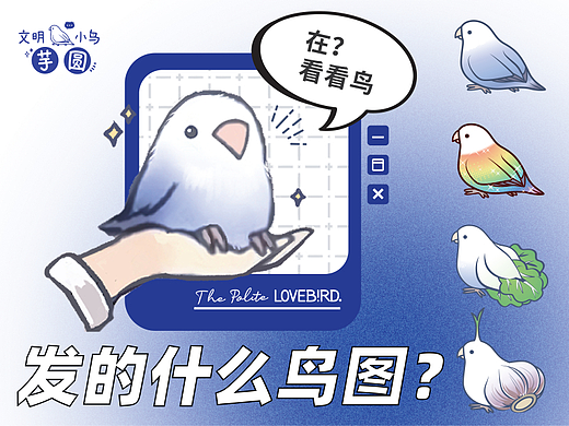 表情包？表禽包！鸟言鸟语鸟图