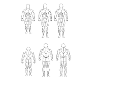 原创手绘人体肌肉模型