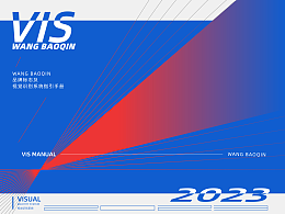 王宝琴律师事务所  品牌视觉设计