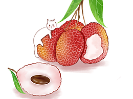 荔枝与小猫