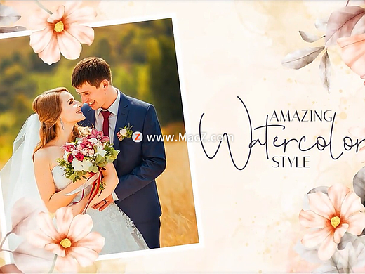 AE模板：浪漫爱情婚礼照片电子相册介绍动画 Romantic Wedding Slideshow