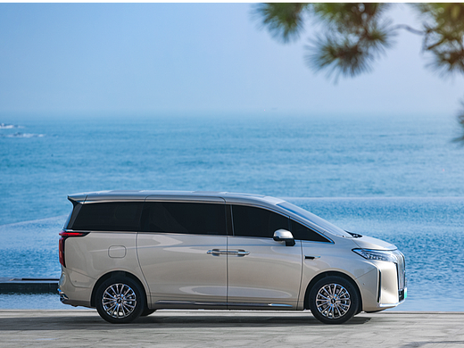 魏牌高山MPV